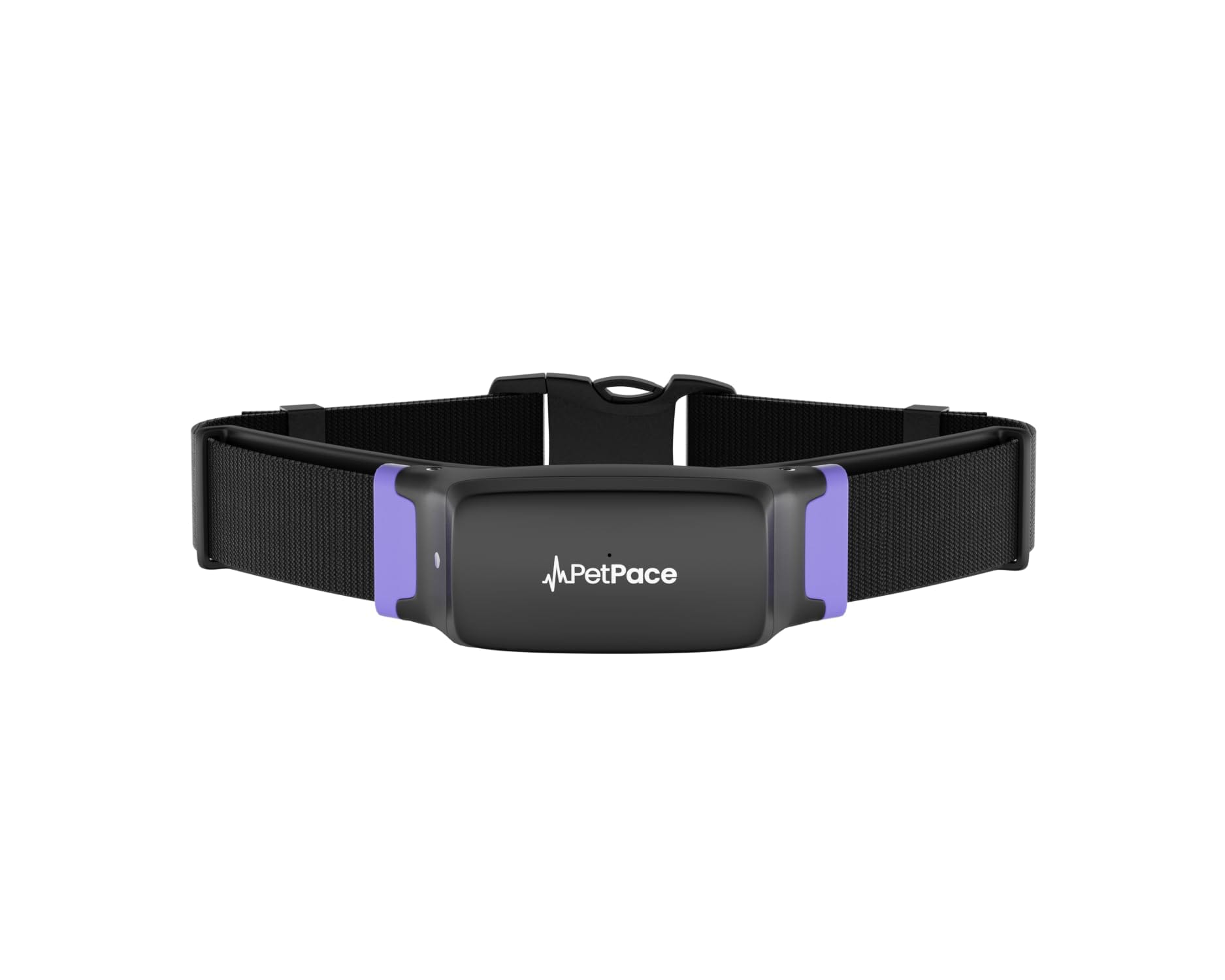 PetPace halsbånd