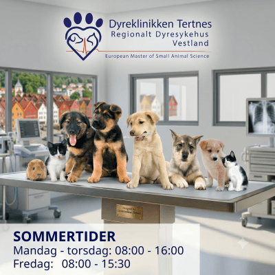 Sommertider Dyreklinikken Tertnes
