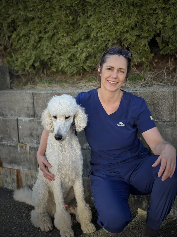 Hilde Grov, veterinær ved Dyreklinikken Tertnes, med puddelen Luggen