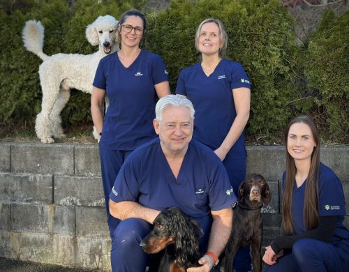 Ansatte Dyreklinikken Tertnes