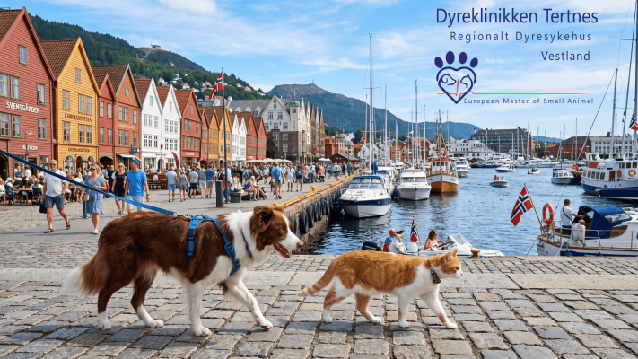 Sommer Dyreklinikken Tertnes